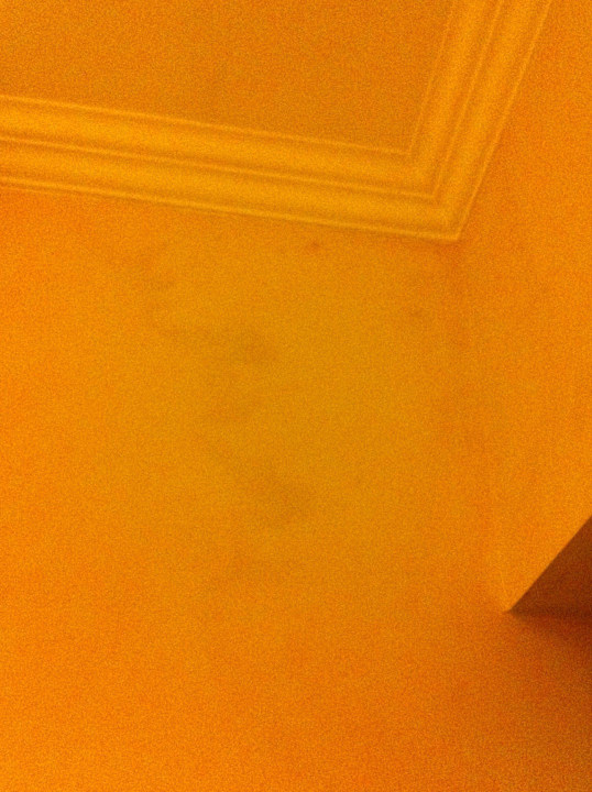 Übergestrichener Schimmel Hotel Quisisana