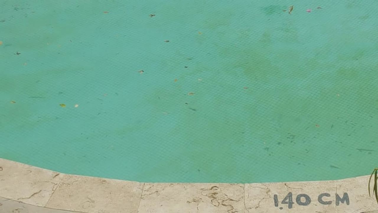 Zimmer Ghazala Gardens