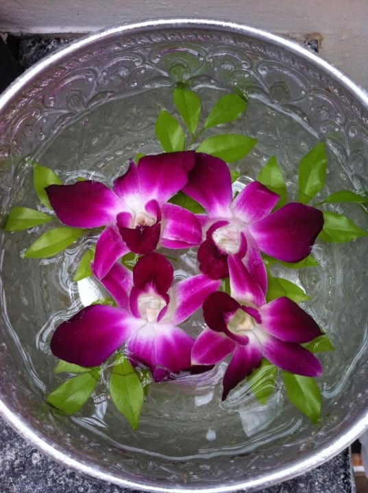 Blumen im Bad SALA Samui Choengmon Beach Resort