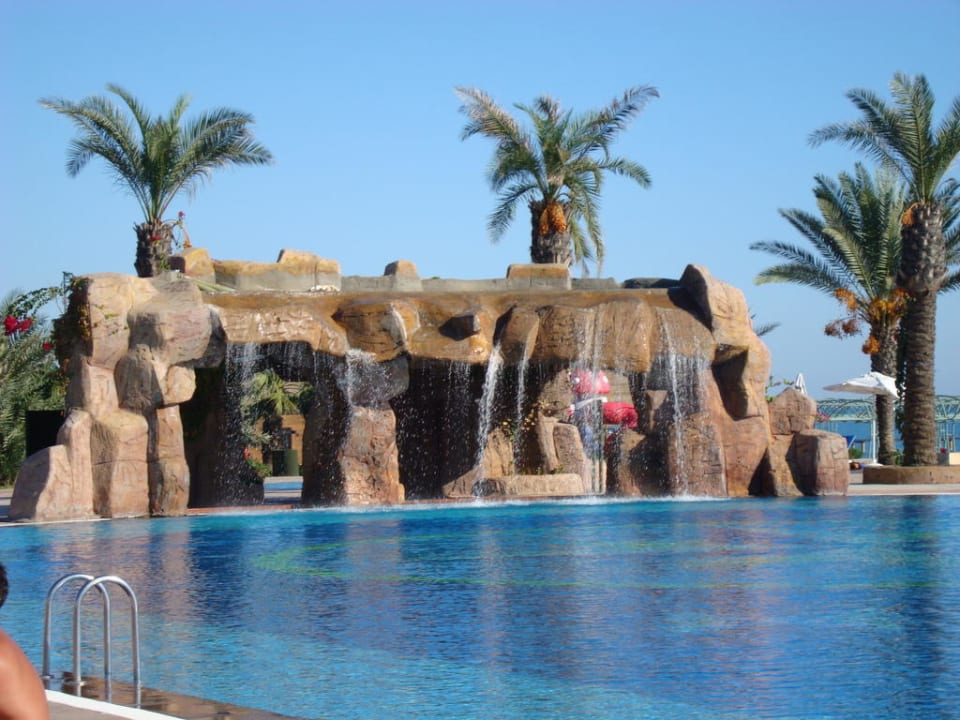 Das plätschern macht süchtig Papillon Belvil