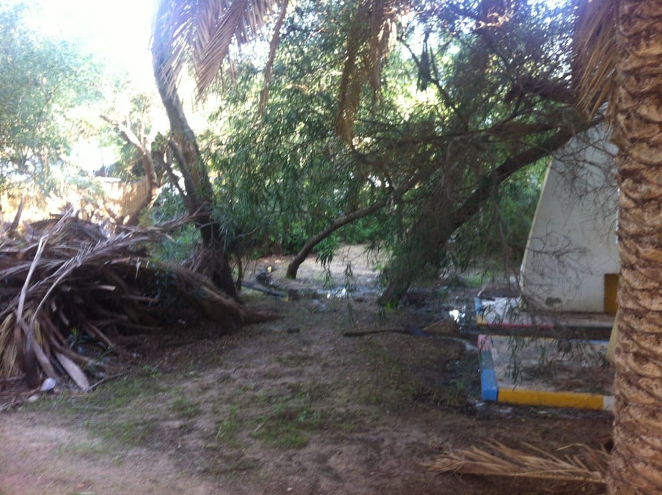 Ungepflegte Gartenanlage! Hotel Marhaba Club