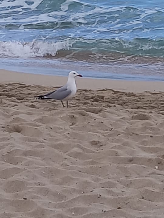 Strand Hotel Na Forana