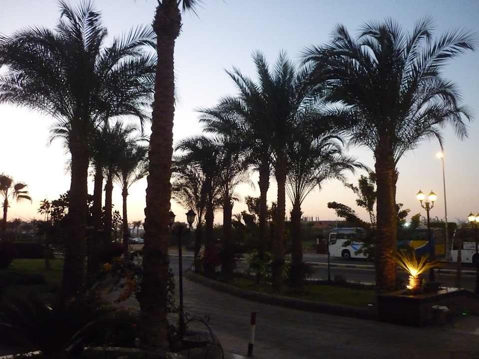 Это утро - рассвет  Le Jardin Aqua Park Resort