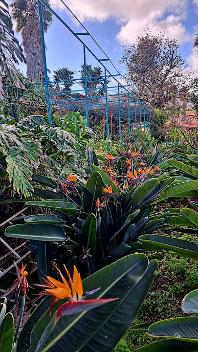 Außenansicht Hotel Quinta Splendida Wellness & Botanical Garden