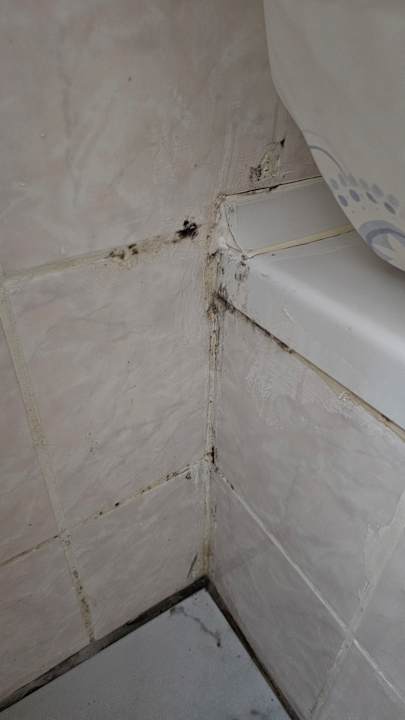 Zimmer Alexius Beach Hotel