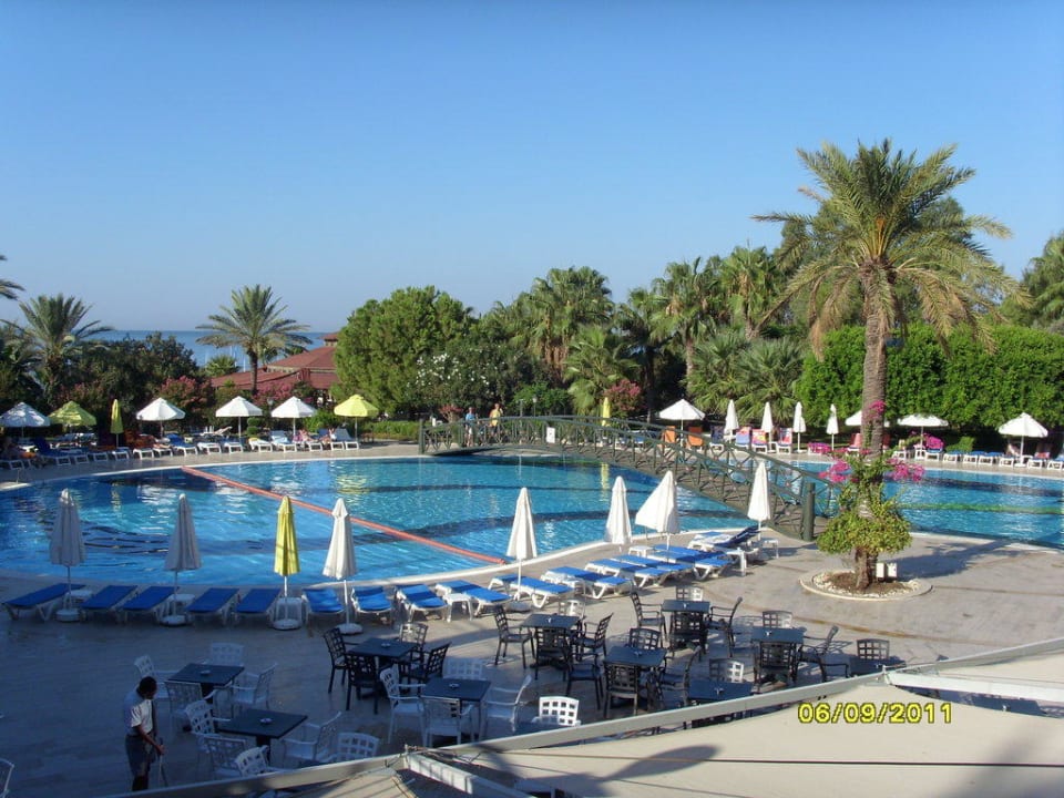Blick von Terrasse auf den Pool Hotel Terrace Beach Resort