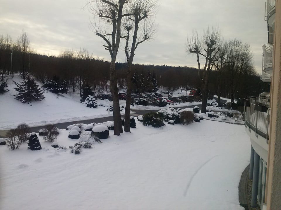 Blick aus Zimmer Golf & Sporthotel Wiesensee