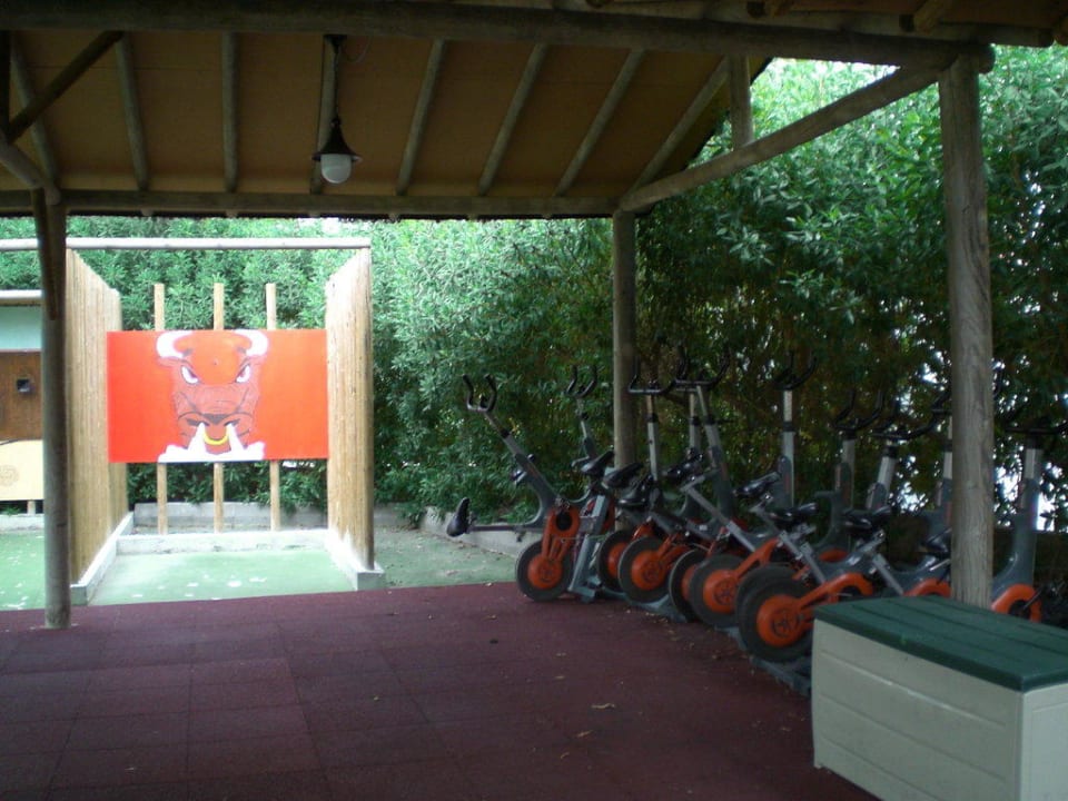 Spinningräder Zafiro Bahia