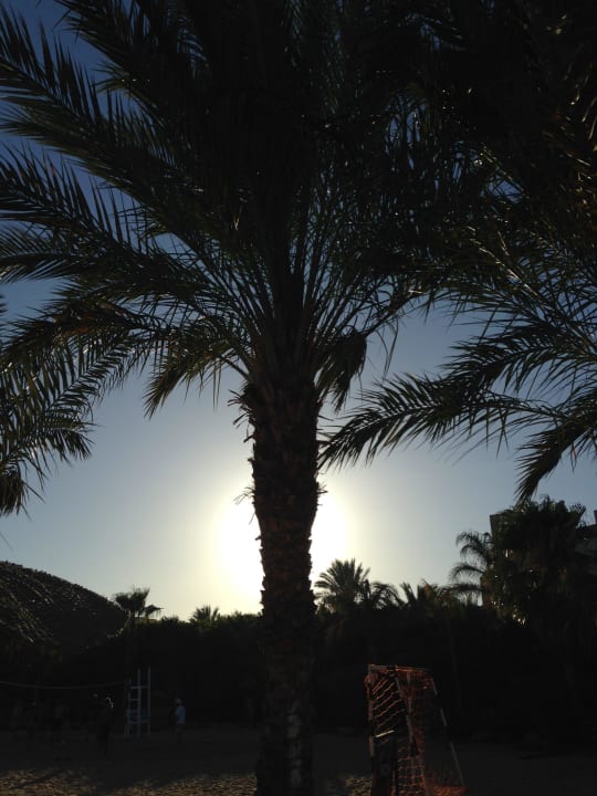 When the sun is going down Fort Arabesque Resort, Spa & Villas