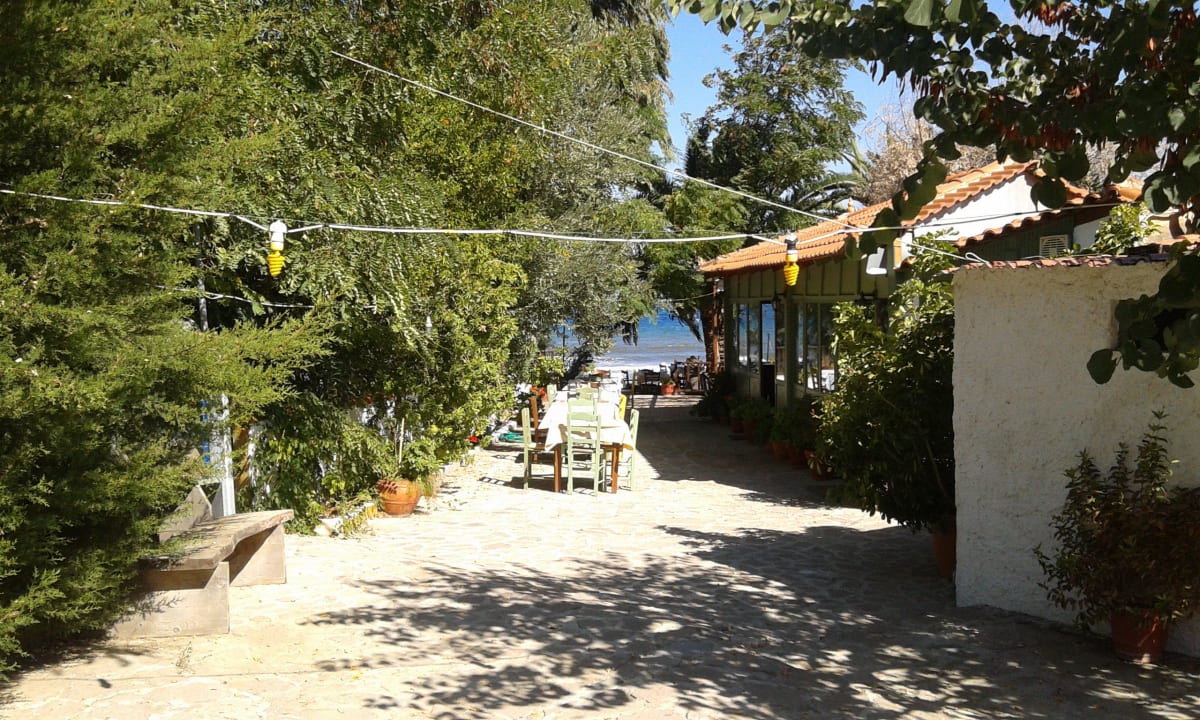 Taverne Hotel Alma Beach