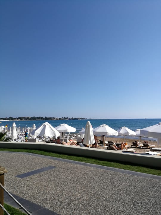 Strand Acanthus Cennet Barut Collection