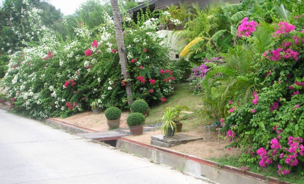 Garten Idyllic Samui Resort
