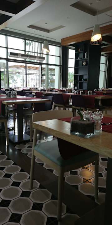 Gastro Acanthus Cennet Barut Collection