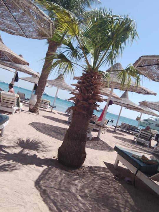 Strand Giftun Azur Resort