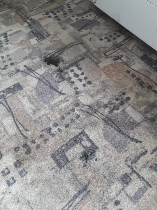 Zimmer Ferienwohnungen Ferienpark Weissenhäuser Strand