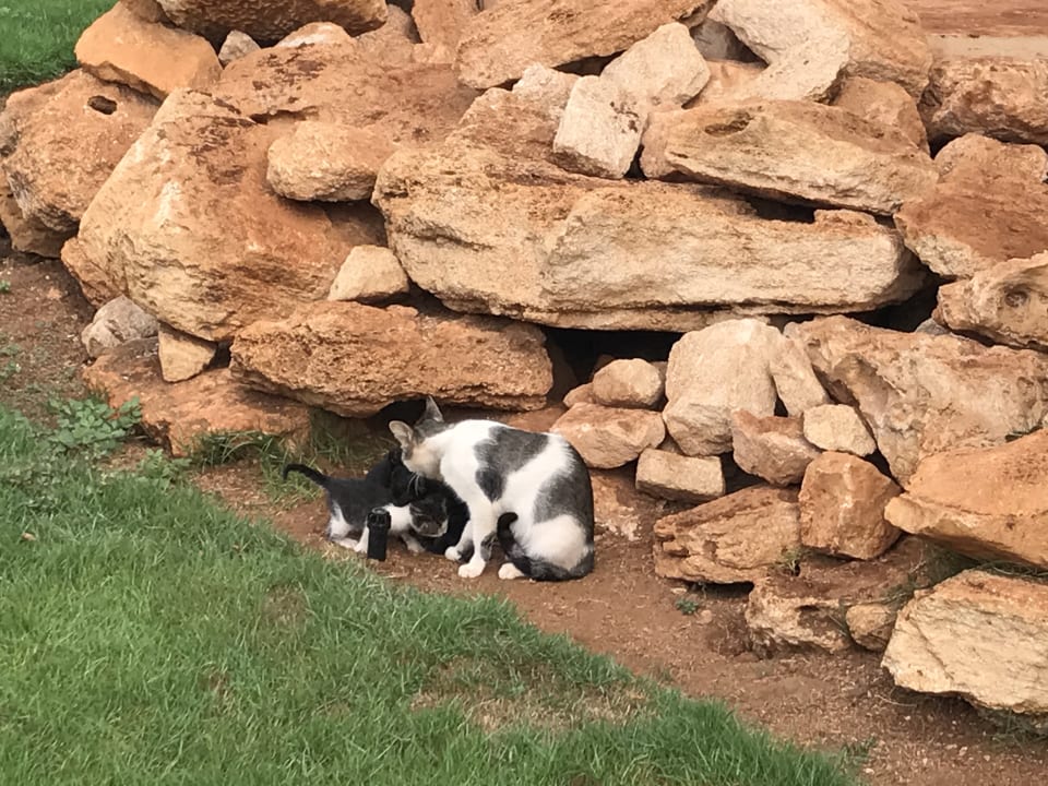 Sonstiges Hotel Riu Touareg