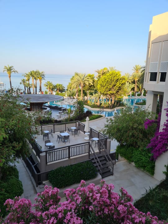 Ausblick PALOMA Perissia