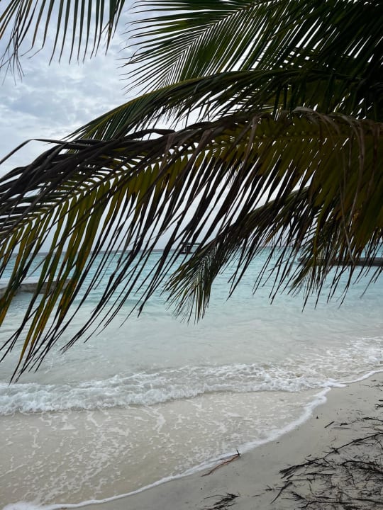 Strand Adaaran Select Meedhupparu Island Resort - Premium All Inclusive