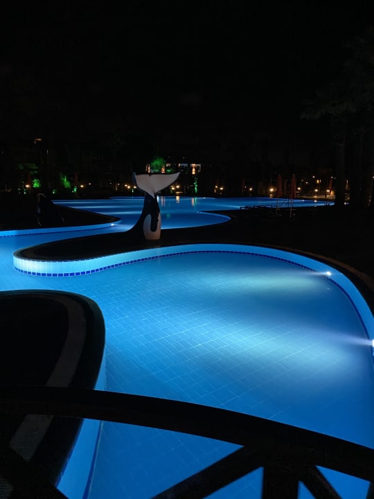 Pool Megasaray Club Belek