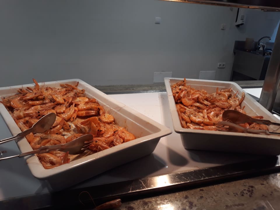 Gastro TUI MAGIC LIFE Fuerteventura