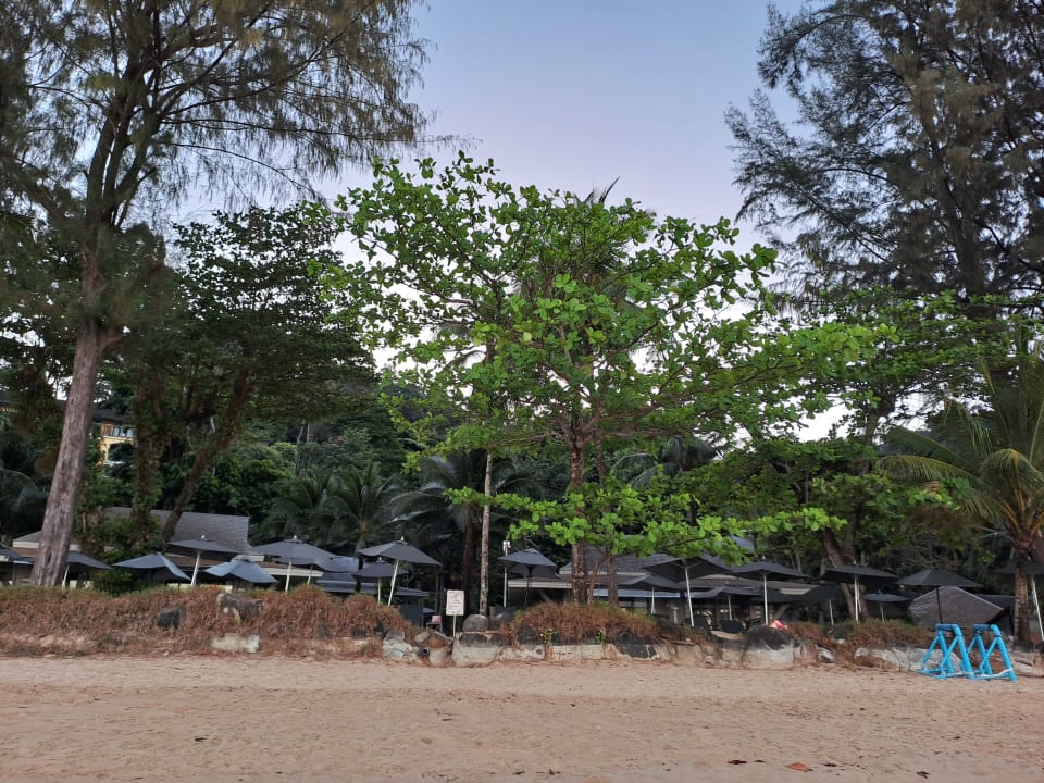 Ausblick Moracea by Khao Lak Resort