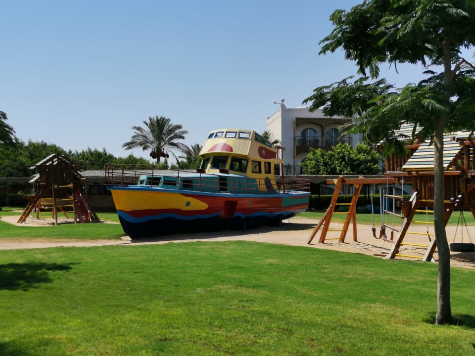 Sport & Freizeit Desert Rose