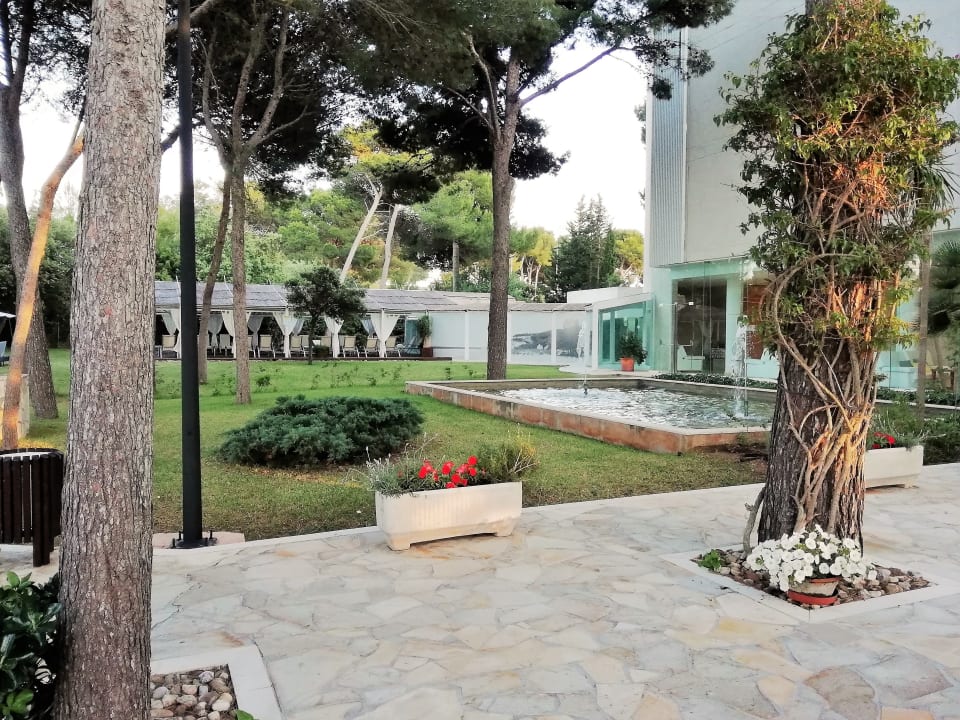 Garten Hotel Zafiro Alzinar Mar