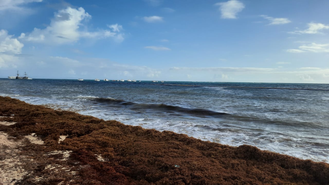 Strand Dreams Royal Beach Punta Cana
