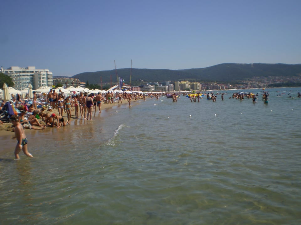 Plaża na wysokości hotelu Flamingo Beach Hotel