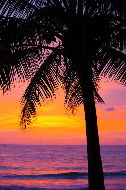 Sonstiges Moracea by Khao Lak Resort