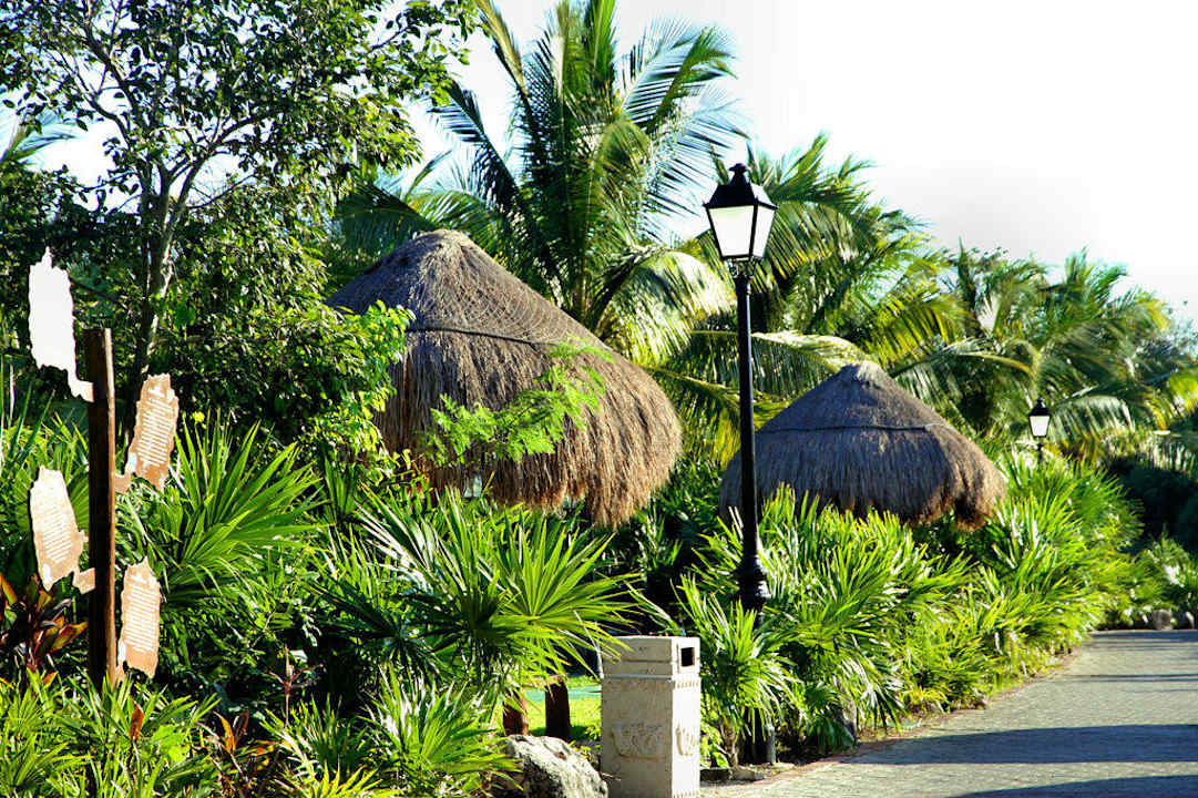 На территории Grand Palladium Select White Sand Resort & Spa