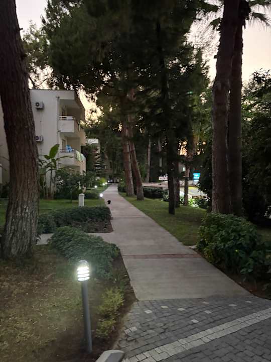 Gartenanlage Club Sidelya Hotel