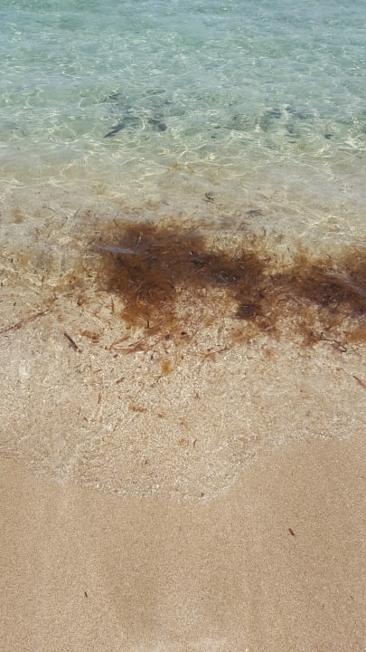 Strand Salamis Bay Conti Resort Hotel & Casino