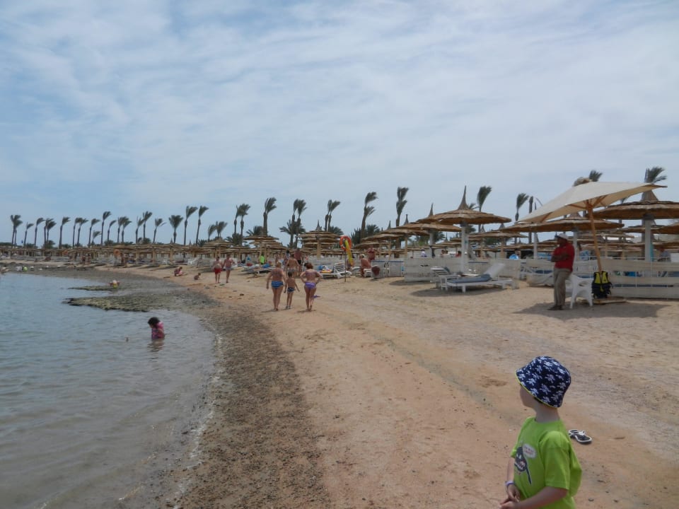 Strand am Dana Beach Pickalbatros Jungle Aqua Park Resort - Neverland Hurghada
