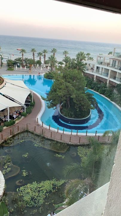 Ausblick Paloma Pasha