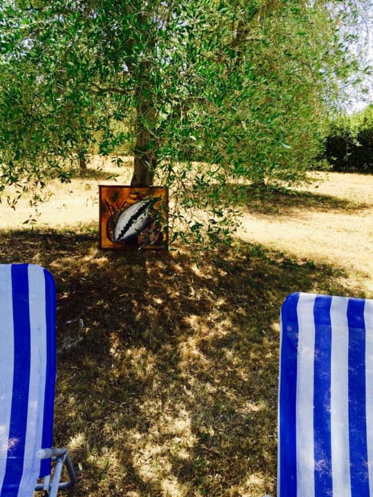 Gartenanlage B&B Maremma Nel Tufo