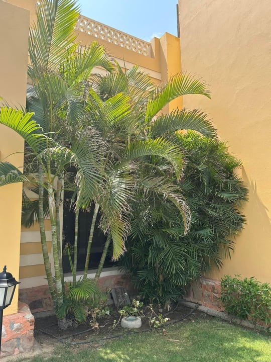 Gartenanlage Jaz Solaya