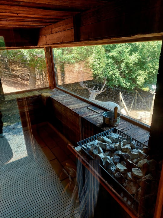 Sport & Freizeit BollAnts Spa im Park