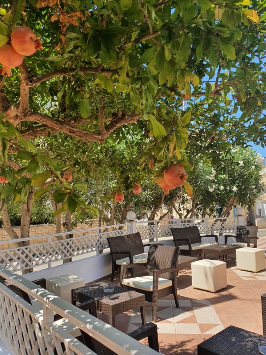 Gartenanlage Hotel Magda CLUB