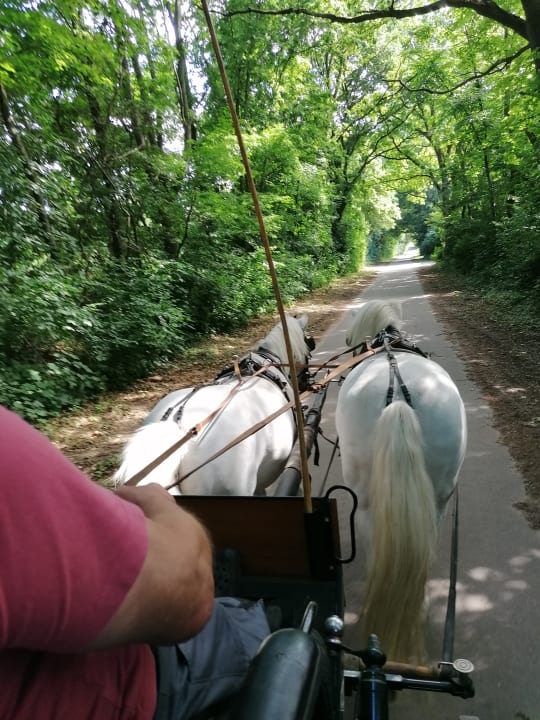 Sport & Freizeit  Bernsteinschloss