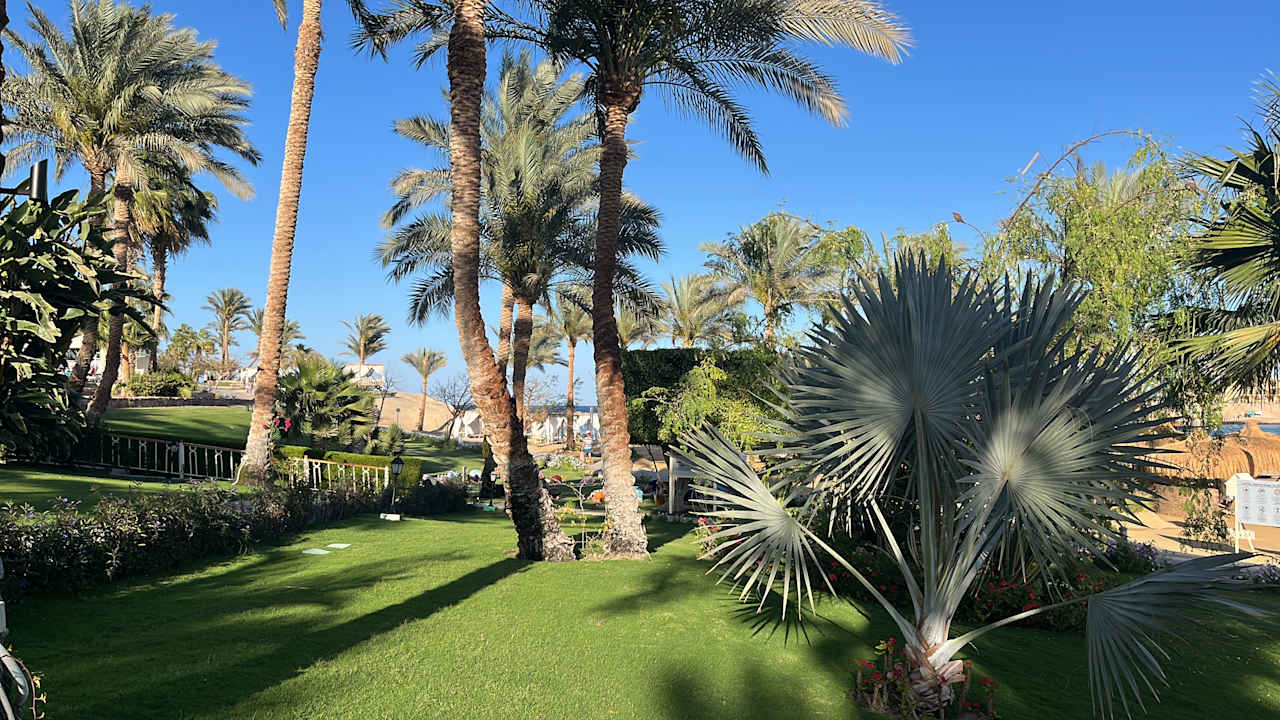 Gartenanlage Steigenberger Coraya Beach - Adults only