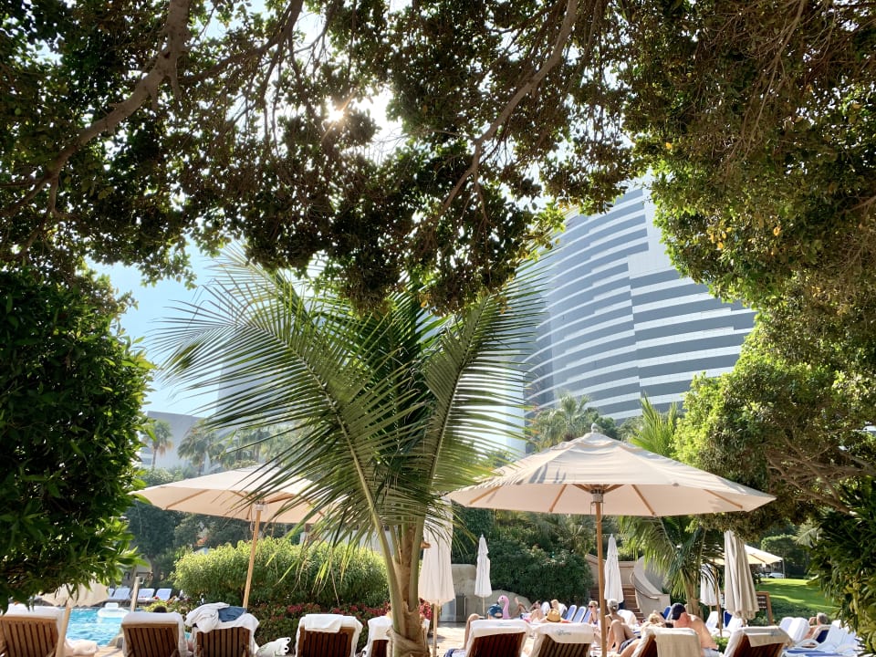 Pool Grand Hyatt Dubai