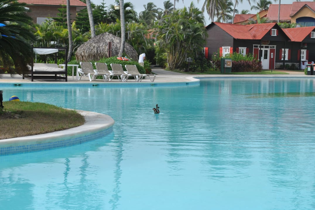 Pool Punta Cana Princess All Suites Resort & Spa