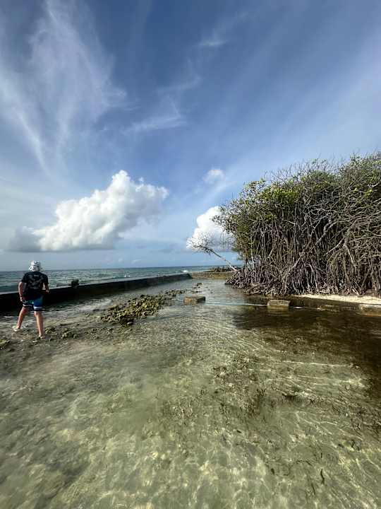 Außenansicht Kuredu Island Resort & Spa