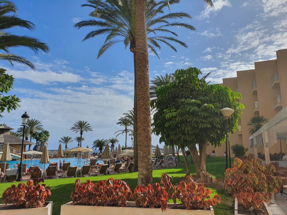 Pool SBH Costa Calma Beach Resort