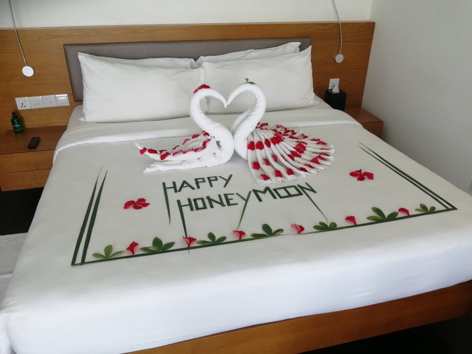 Zimmer Summer Island Maldives