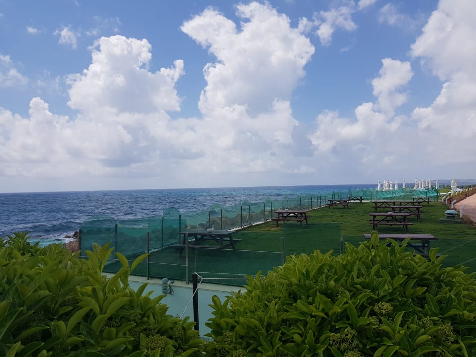 Ausblick Gold Island Selected