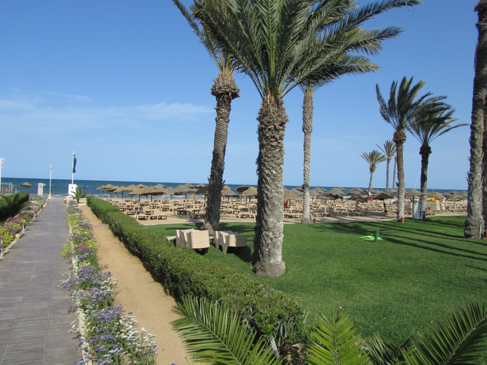 Strand TUI BLUE Scheherazade