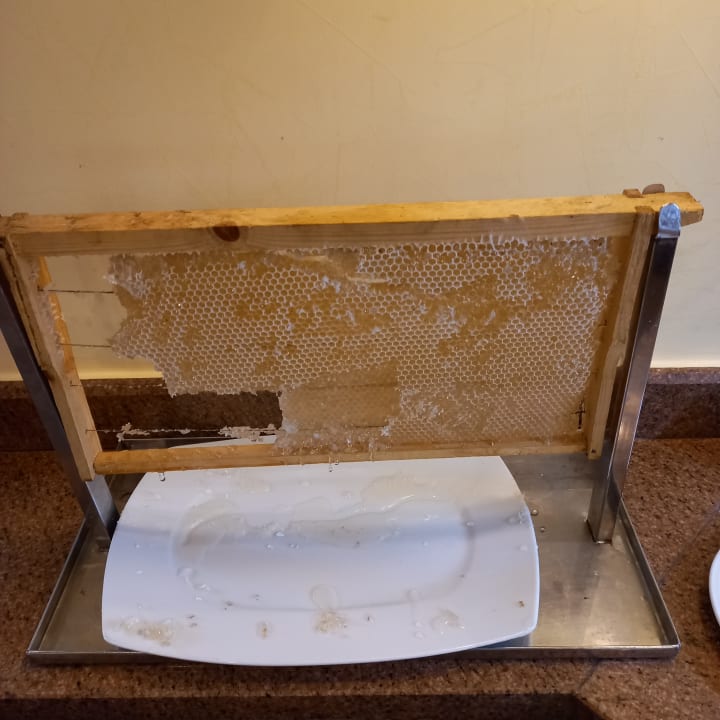 Gastro Steigenberger Coraya Beach - Adults only