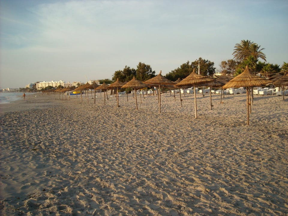 Hotelstrand am frühen Morgen Hotel Thalassa Mahdia